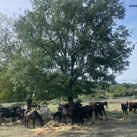 Agrimar Casa di campagna *
